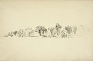 Trees on the Shore of Lake George, Bolton, New York